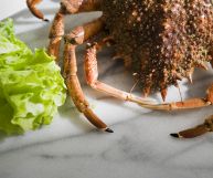 Una granseola di colore arancio-marrone ancora da sgusciare, con corazza dai margini seghettati e zampe lunghe; foglie di insalata e piano in marmo bianco