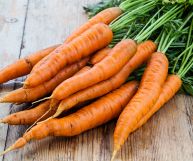 In primo piano un mazzo di carote appena raccolto; il colore è arancione brillante, le foglie sono verde vivo; sullo sfondo tavolo in legno