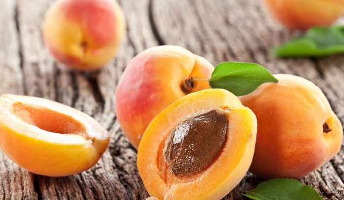 Albicocca caratteristiche e ricette