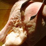 Anatra alla romagnola