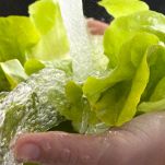 Antipasto di gamberetti al vapore