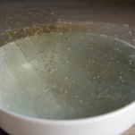 Aspic di frutta mista