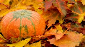 Dieta d'autunno: cosa è meglio mangiare