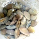 Bacalhau a pescadora