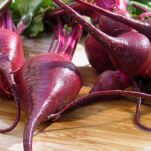Barbabietola, proprietà e ricette