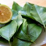 Bauletti di gamberi su foglia di limone