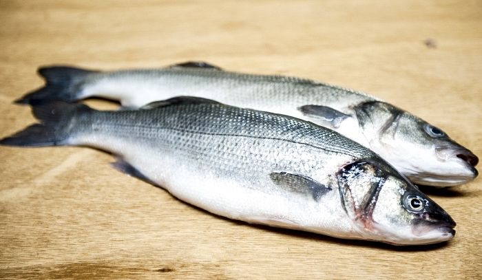 Branzino in crosta di zucchine…