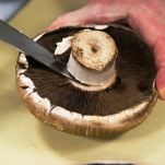 Capriccio di salmone e pesce spada con funghi