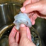 Cartoccio di gamberetti