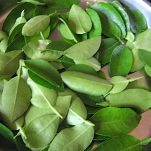 Cartoccio di gamberetti