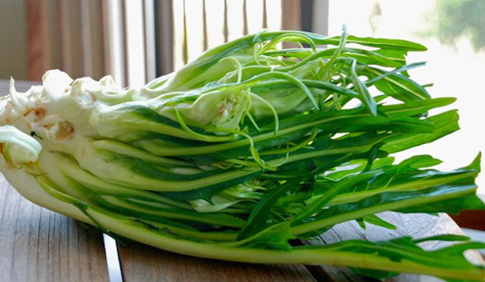 Catalogna, caratteristiche e ricette