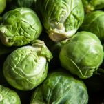 Cavolini di Bruxelles gli uni vicini agli altri dal colore verde intenso, con alla base torso bianco; le foglie sono state lavate e gli ortaggi possono essere cucinati