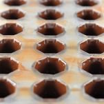 Cioccolatini ai pistacchi