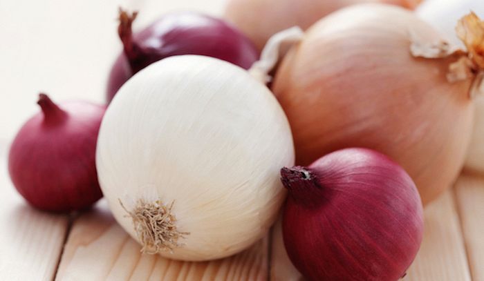 Cipolla, proprietà e ricette