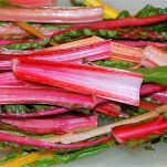 Coste al sugo