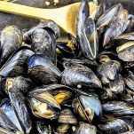 Cozze fritte