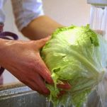 Crostata di coste e formaggio