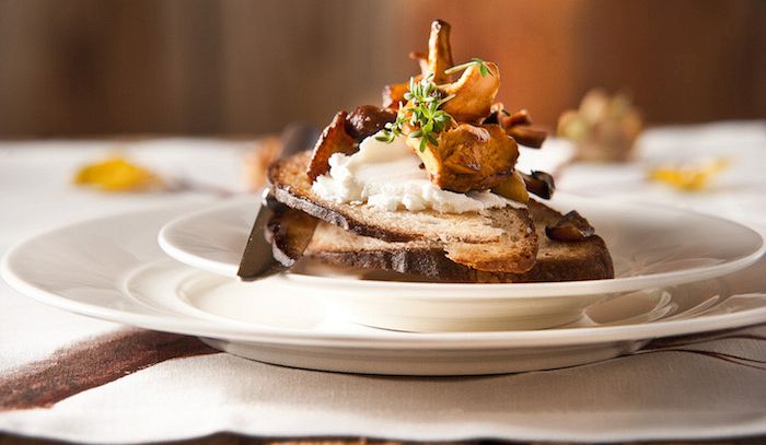Crostone di funghi porcini