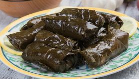 Foglie di vite ripiene