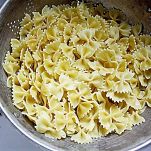 Farfalle di primavera