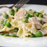 Farfalle di primavera