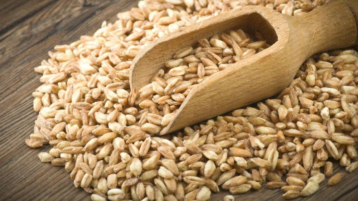 Farro, caratteristiche e ricette