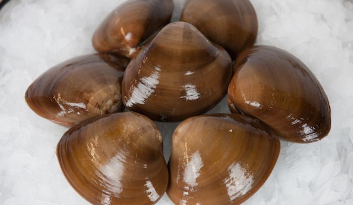 Fasolari La Rubrica Di Buonissimo