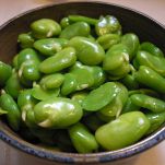 Fave, caratteristiche e ricette