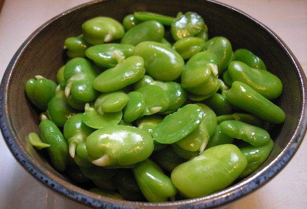 Fave, caratteristiche e ricette