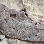 Fegato all’aceto balsamico