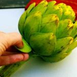 Fettuccine ai carciofi