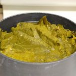 Foglie di vite ripiene