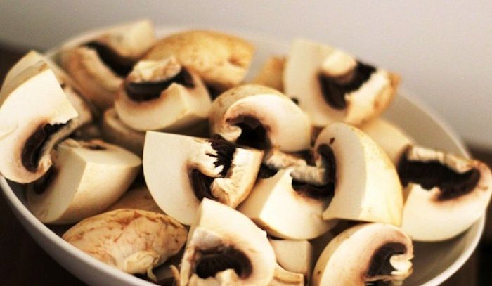 Funghi, caratteristiche e ricette