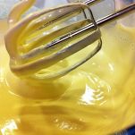 Gelatina di tè e mango