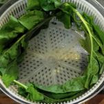 Insalata con rucola e pera