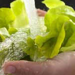 Insalata di arance con olive e rucola