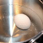 Insalata di granseola