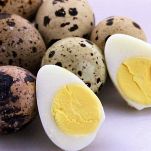 Insalata di tonno ed uova di quaglia