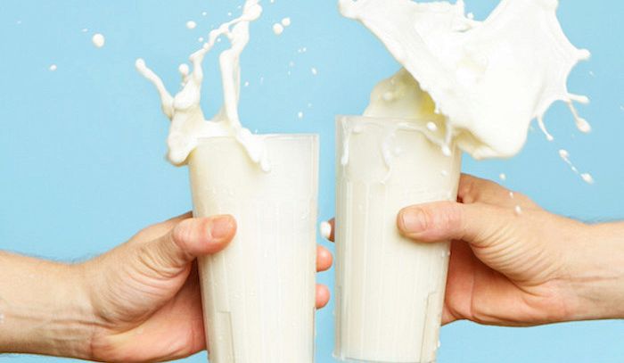 Latte, caratteristiche e ricette