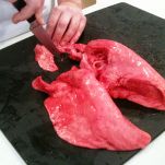 Mazzarelle d’agnello