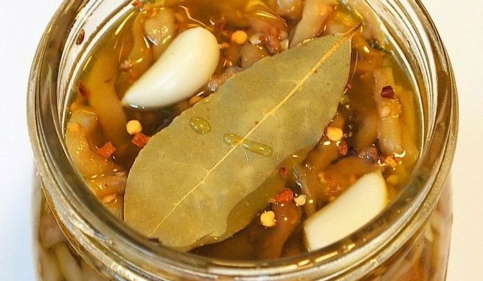Melanzane sott'olio
