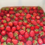 Millefoglie alle fragole