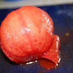 Minestrone di campagna