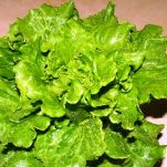 Nodino di maiale al sale