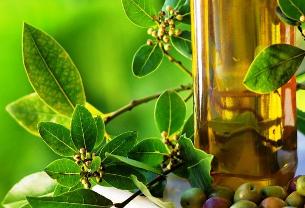 Olio d'oliva, caratteristiche e ricette