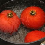 Orecchiette alla lucana