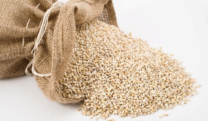 Orzo, caratteristiche e ricette