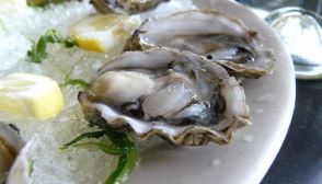 Ostriche, caratteristiche e ricette