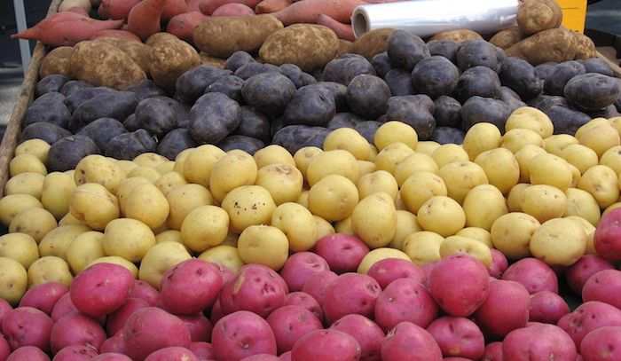 Patate, caratteristiche e ricette