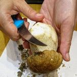 Patè di funghi porcini